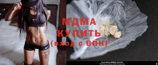 прущие грибы Осинники
