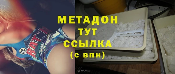 прущие грибы Осинники