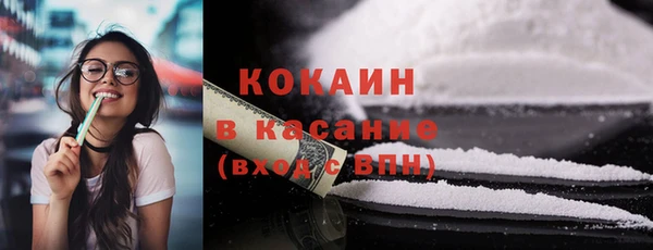 прущие грибы Осинники