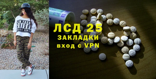 прущие грибы Осинники