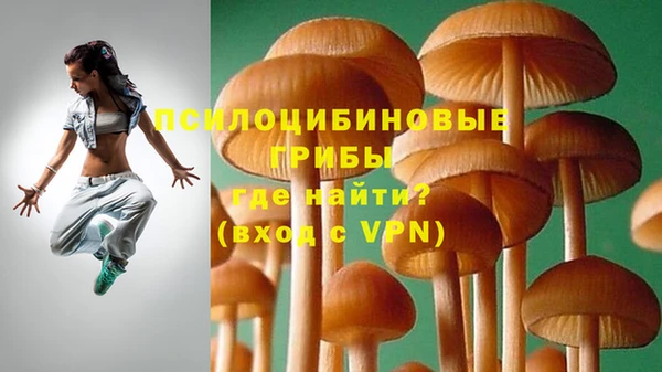 амф Остров