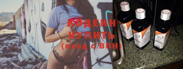 прущие грибы Осинники